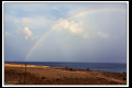 Oman (54).jpg